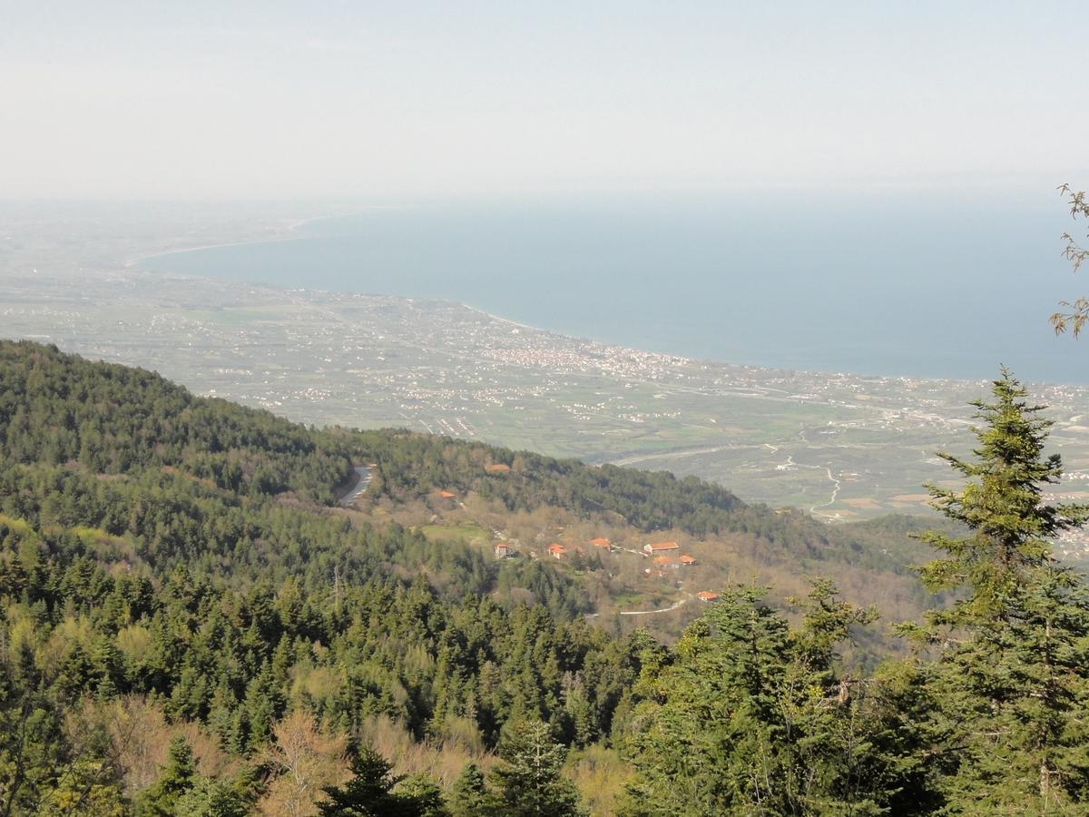 Sintrivanis Mountain Ano Skotina ภายนอก รูปภาพ